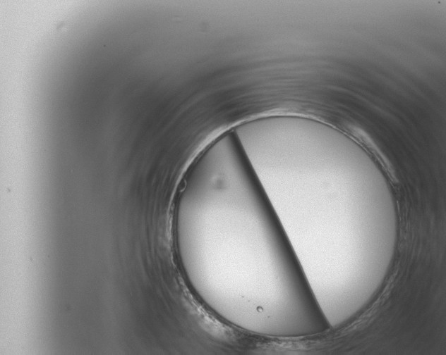 X0000080110900200612221801