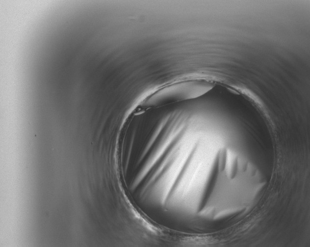 X0000080110902200612221801