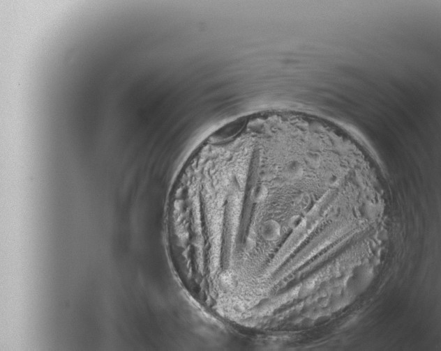 X0000080110903200612221801