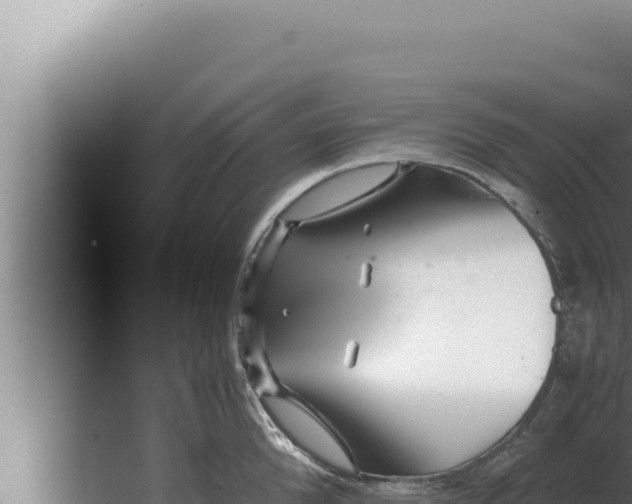 X0000080110904200612221801