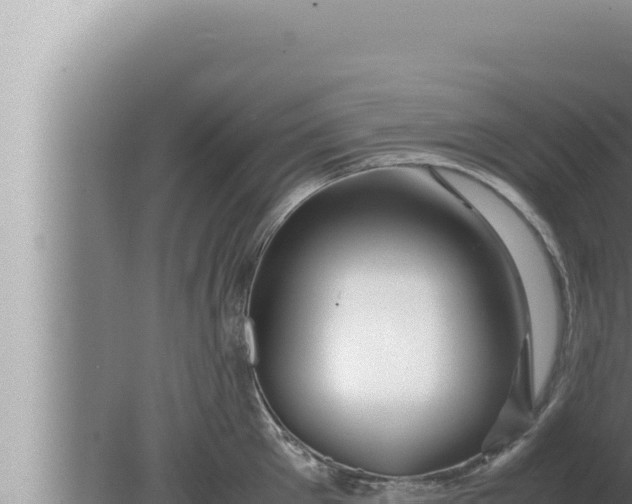 X0000080110905200612221801