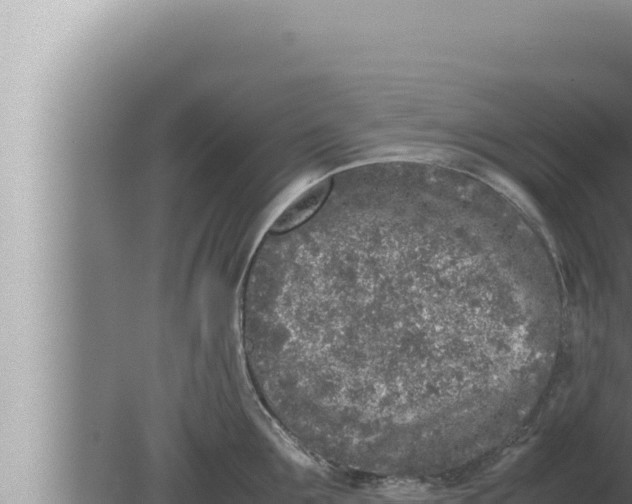 X0000080110907200612221801