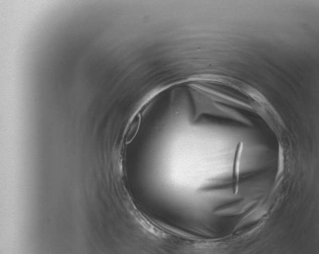 X0000080110908200612221801