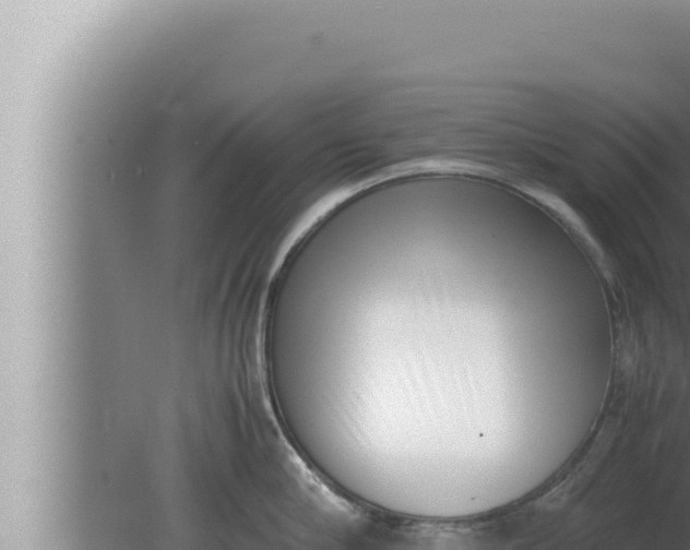 X0000080110910200612221801