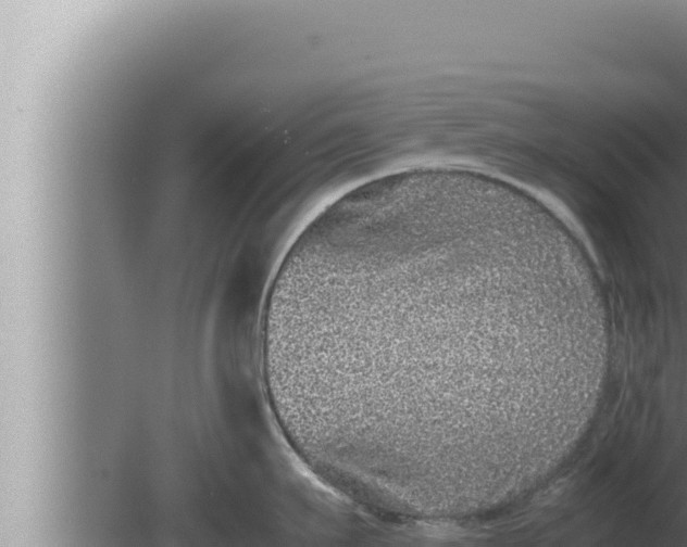 X0000080110911200612221801