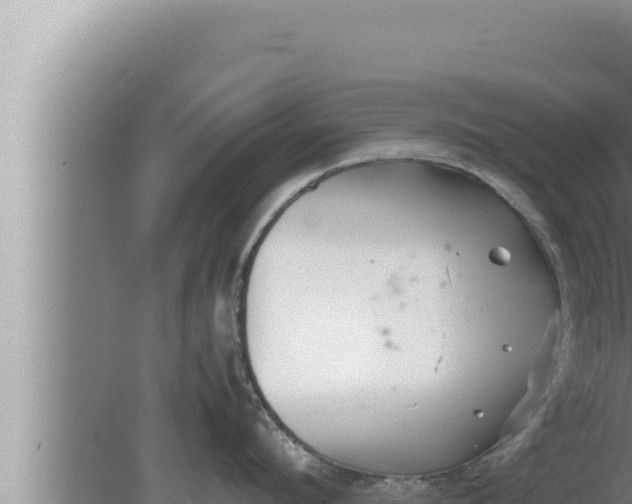 X0000080110912200612221801