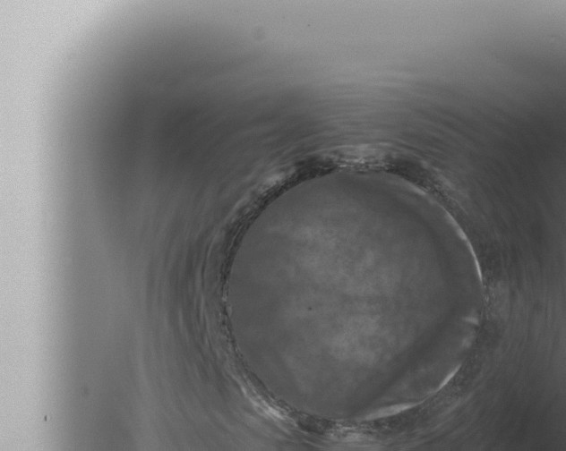 X0000080110913200612221800