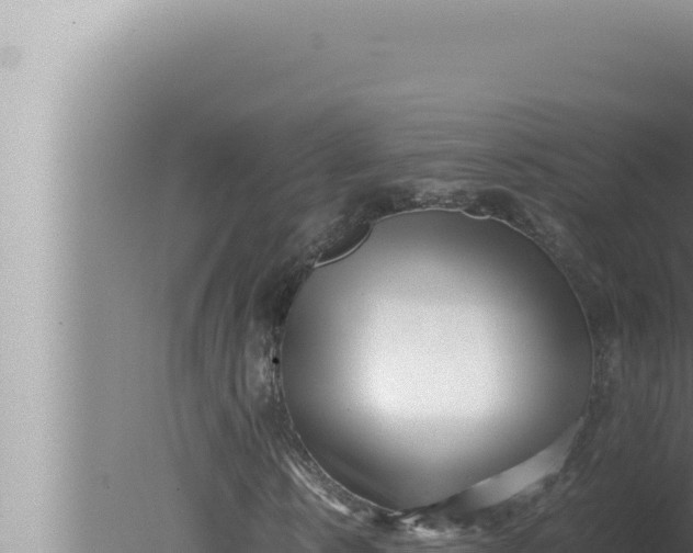 X0000080110914200612221800