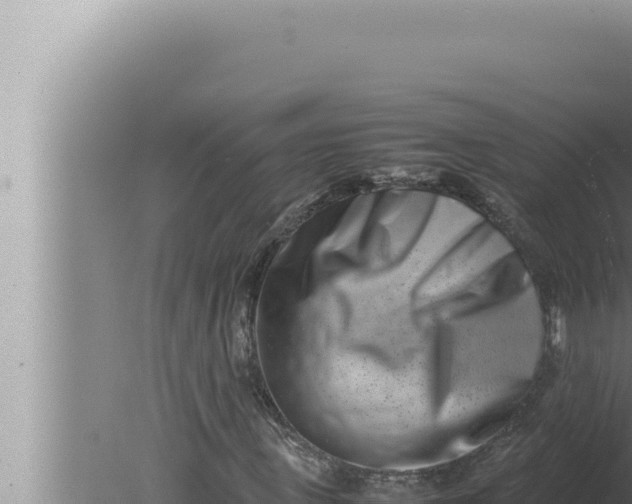 X0000080110915200612221800