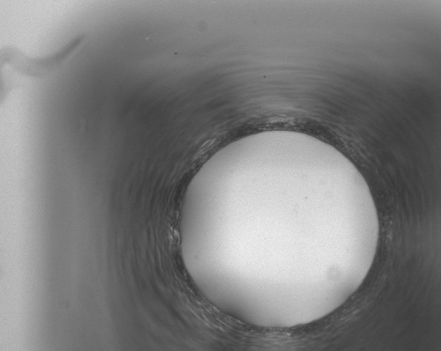 X0000080110916200612221800