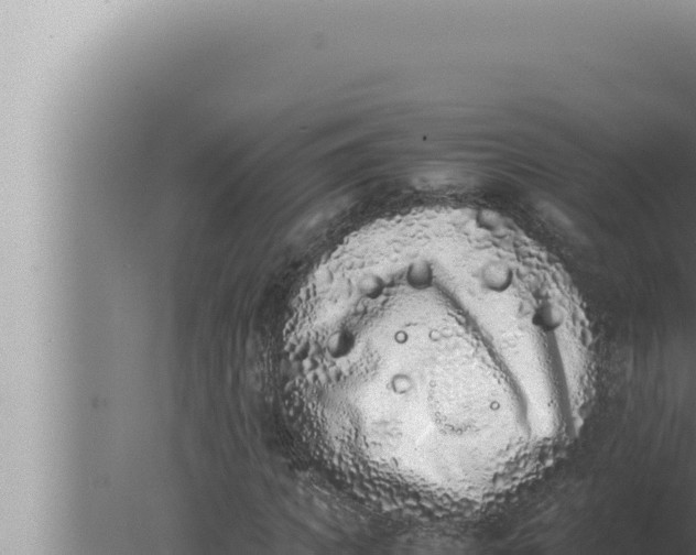 X0000080110917200612221800