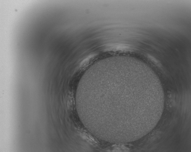 X0000080110918200612221800