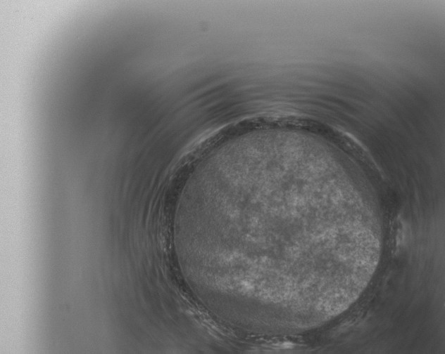 X0000080110919200612221800