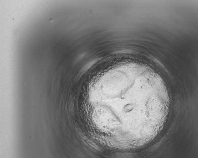 X0000080110921200612221801