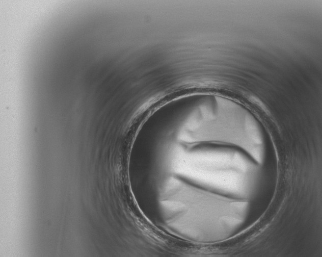 X0000080110922200612221801