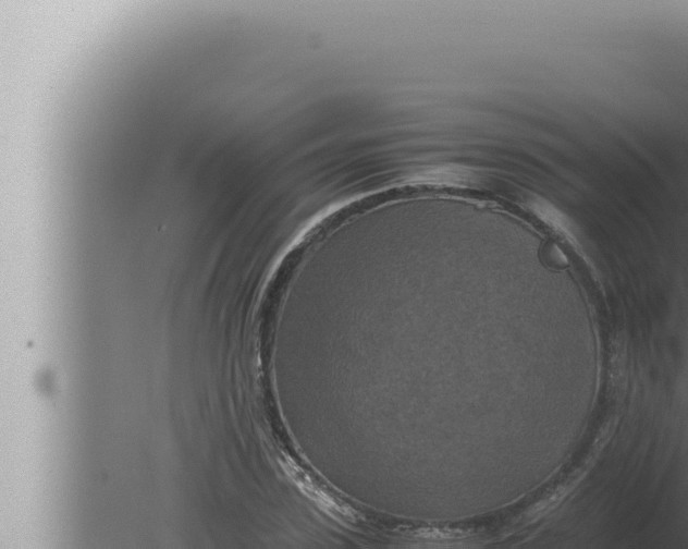 X0000080110923200612221801