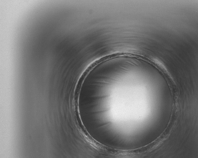 X0000080110924200612221801