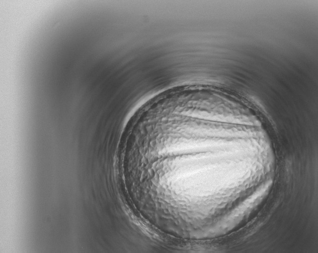 X0000080110928200612221801