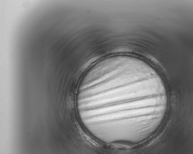 X0000080110929200612221801