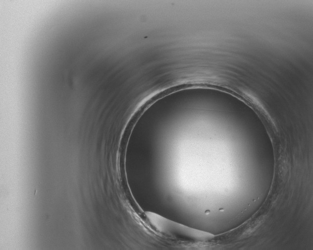 X0000080110932200612221801