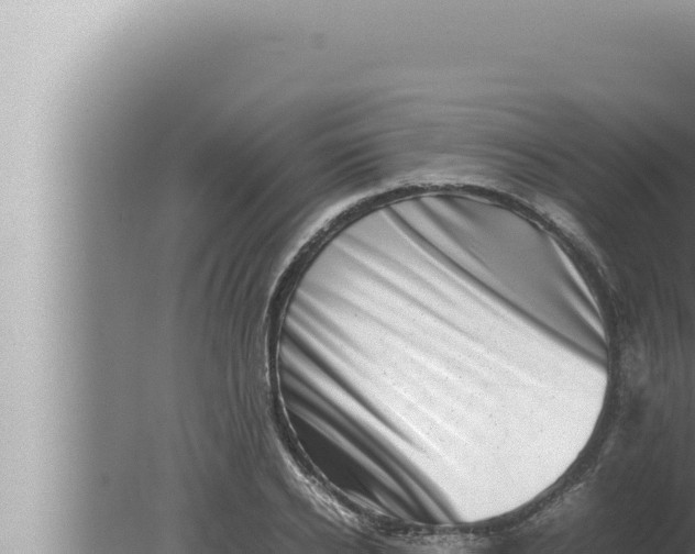 X0000080110934200612221801