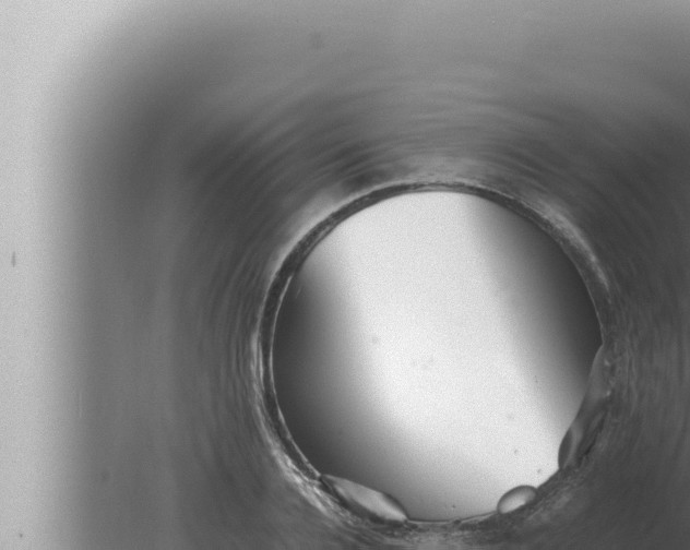 X0000080110936200612221801