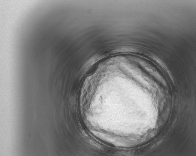 X0000080110937200612221801