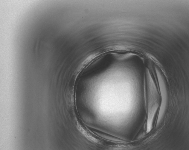 X0000080110938200612221801