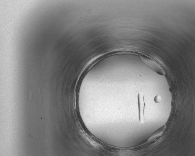 X0000080110940200612221801