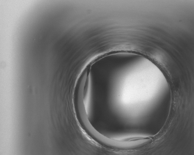 X0000080110942200612221801