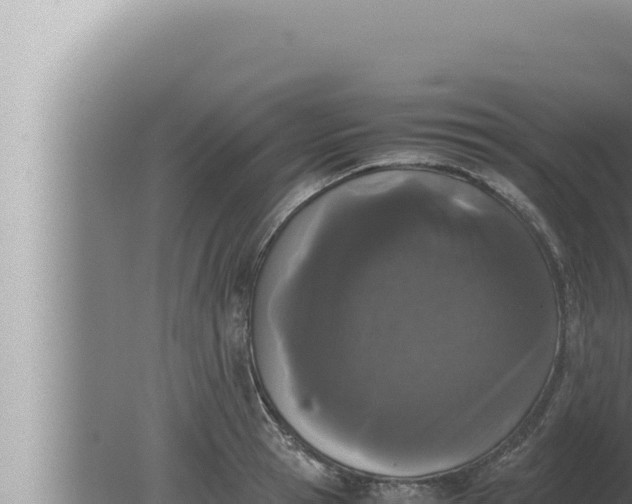 X0000080110945200612221801