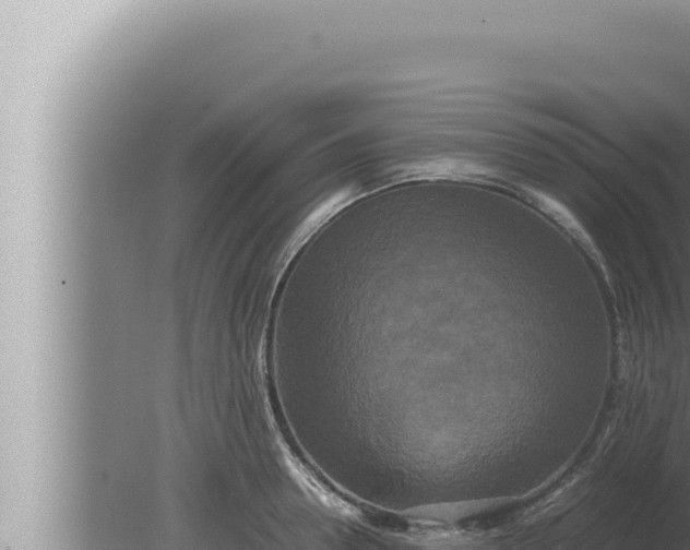 X0000080110946200612221801