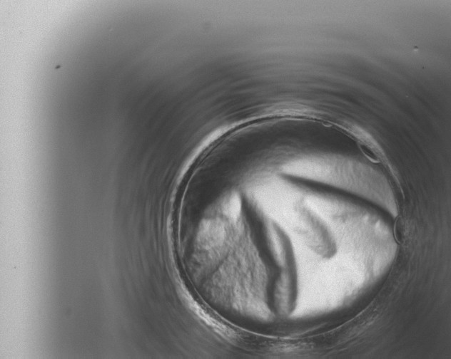 X0000080110947200612221801