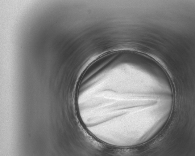 X0000080110949200612221801