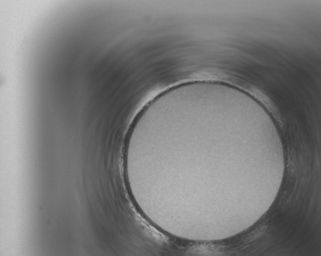 X0000080110950200612221801