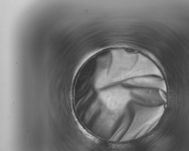 X0000080110951200612221801