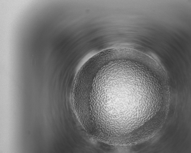 X0000080110952200612221801