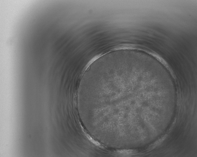 X0000080110953200612221801