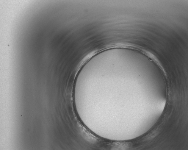 X0000080110954200612221801