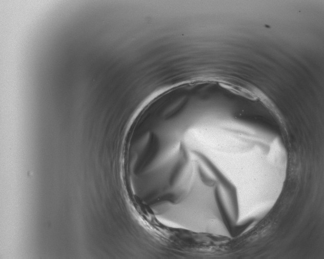 X0000080110955200612221801