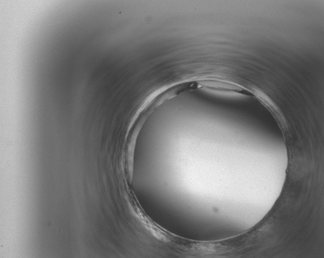 X0000080110956200612221801