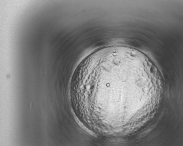 X0000080110957200612221801