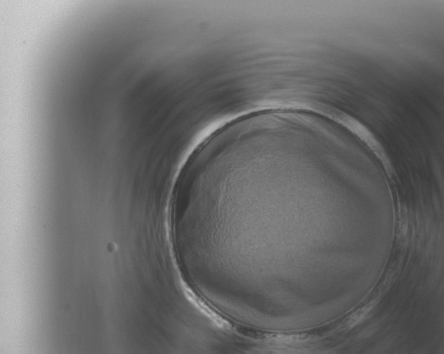 X0000080110958200612221801