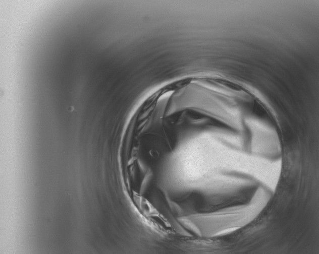 X0000080110959200612221801