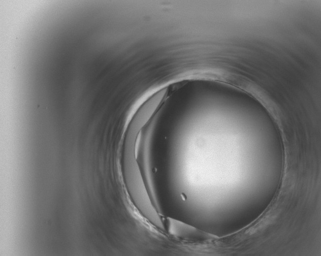 X0000080110960200612221801