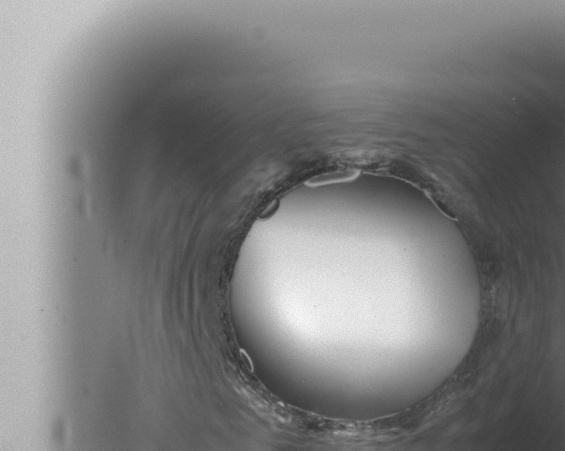 X0000080110961200612221800