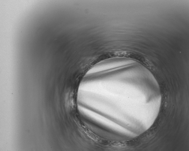 X0000080110962200612221800