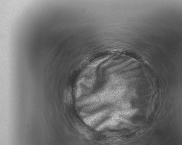 X0000080110963200612221800