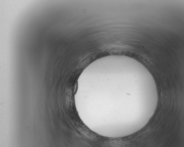 X0000080110964200612221800