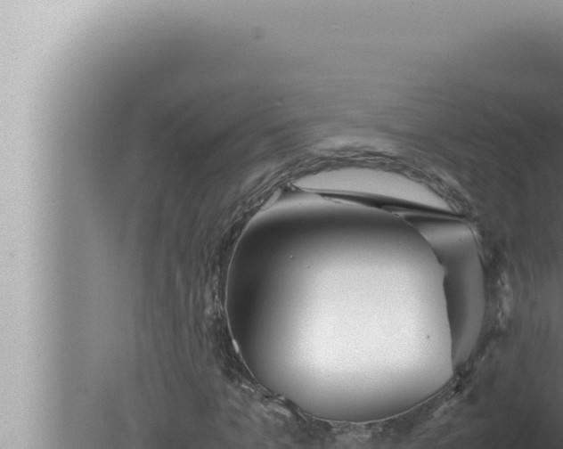 X0000080110965200612221800